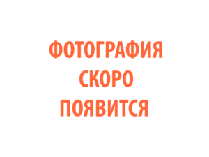 Фото 81 - Горелка TECH MS 400.