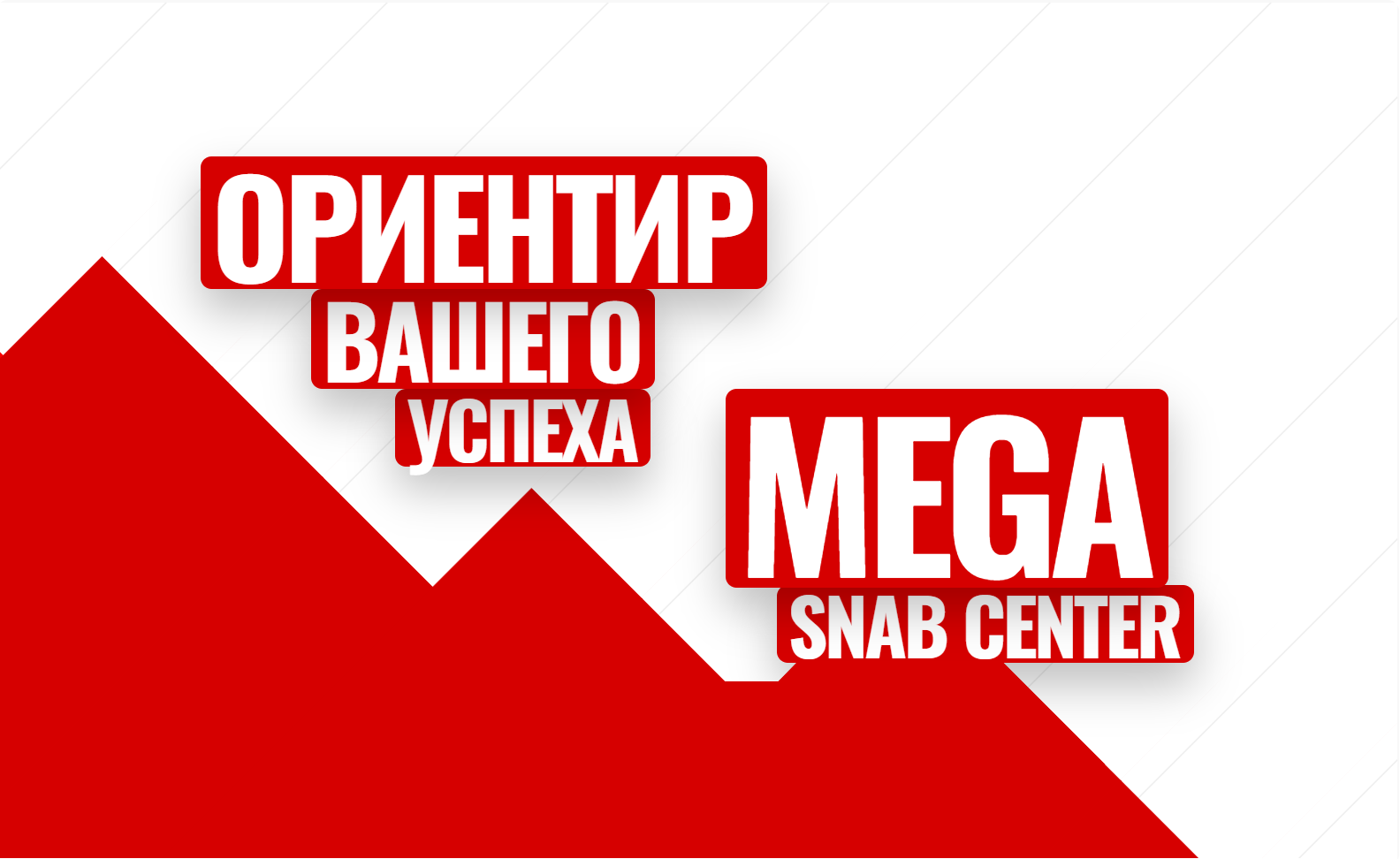 Главная
